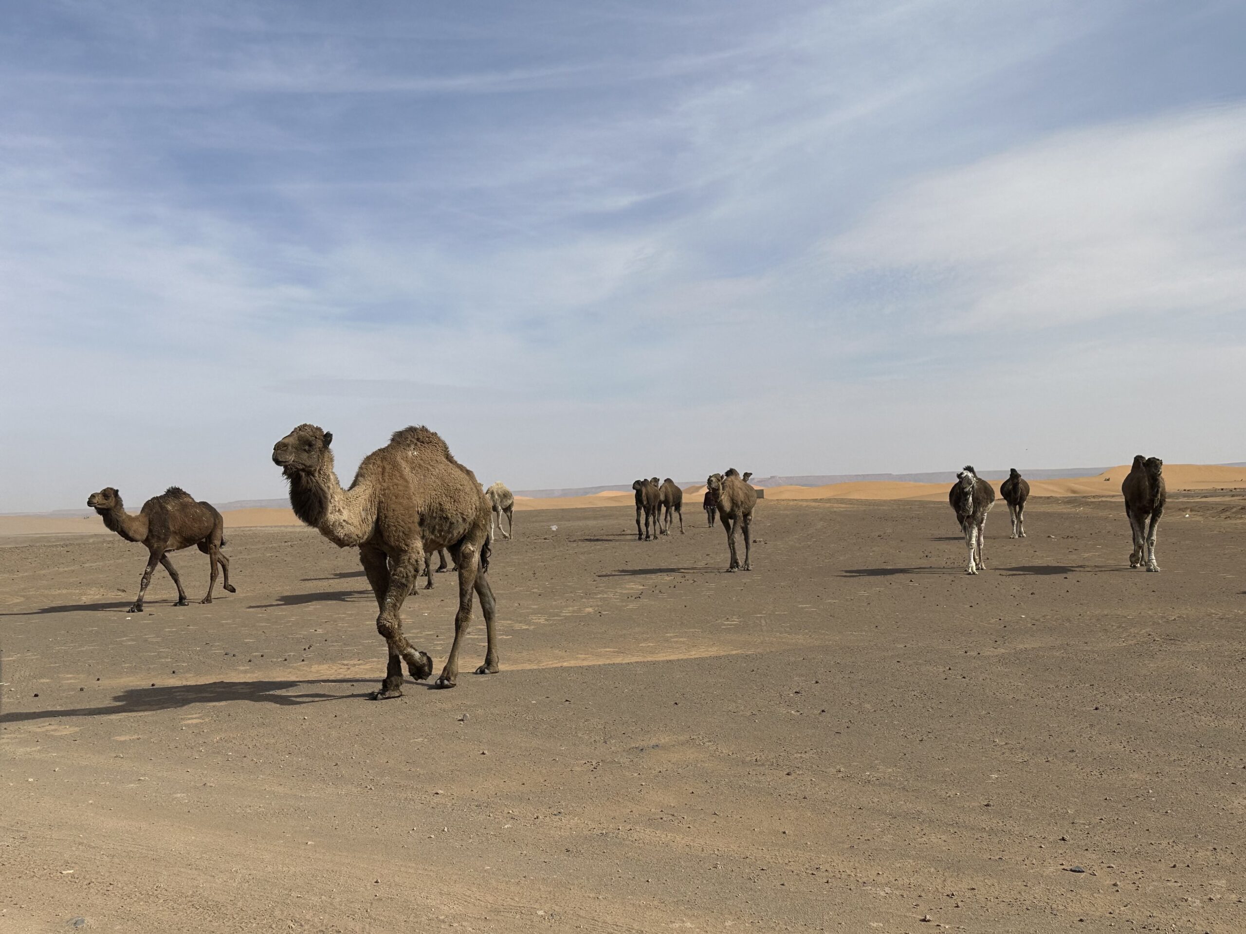 stepping off the path