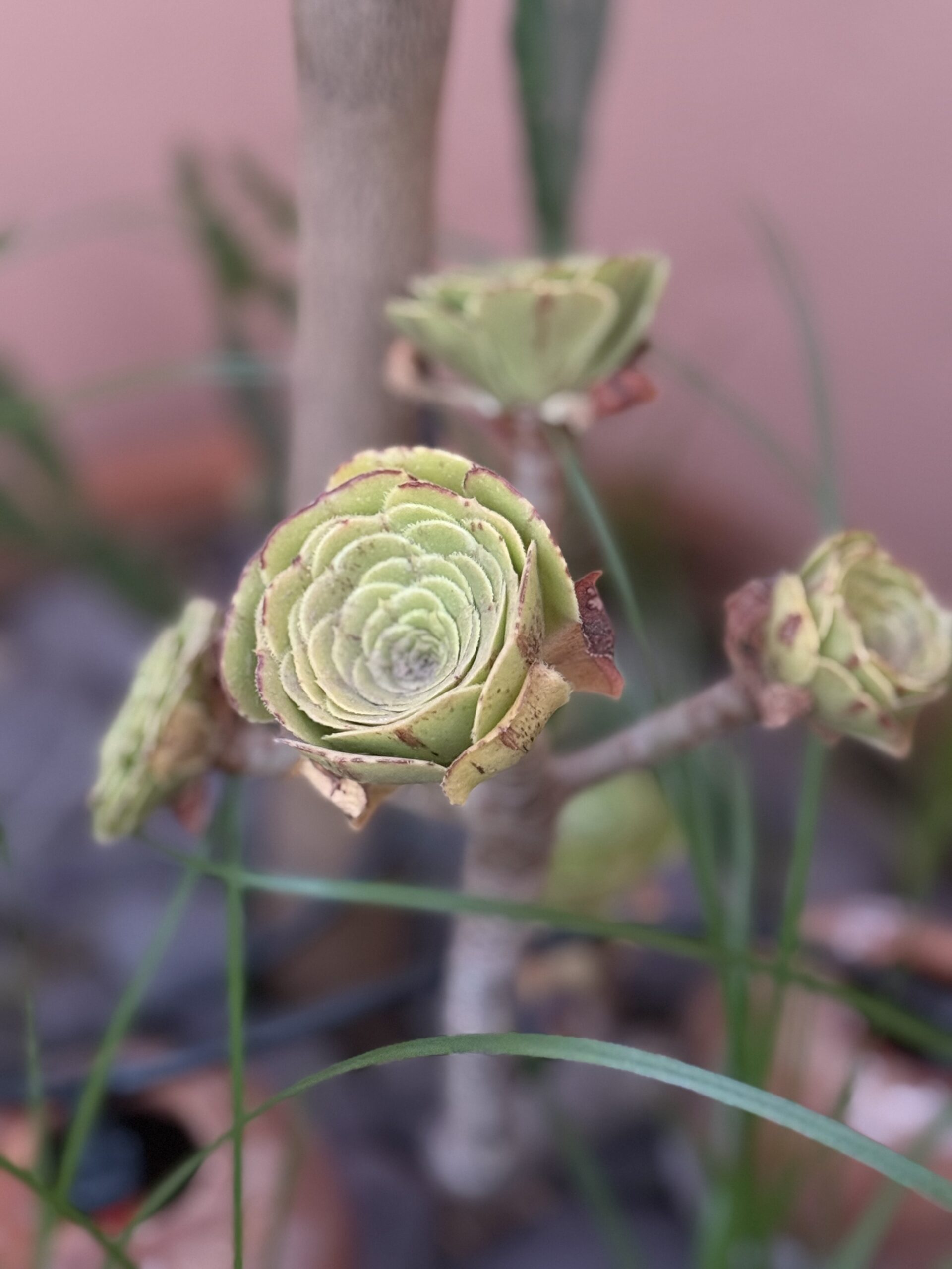 new motto, new friends, new apartment               