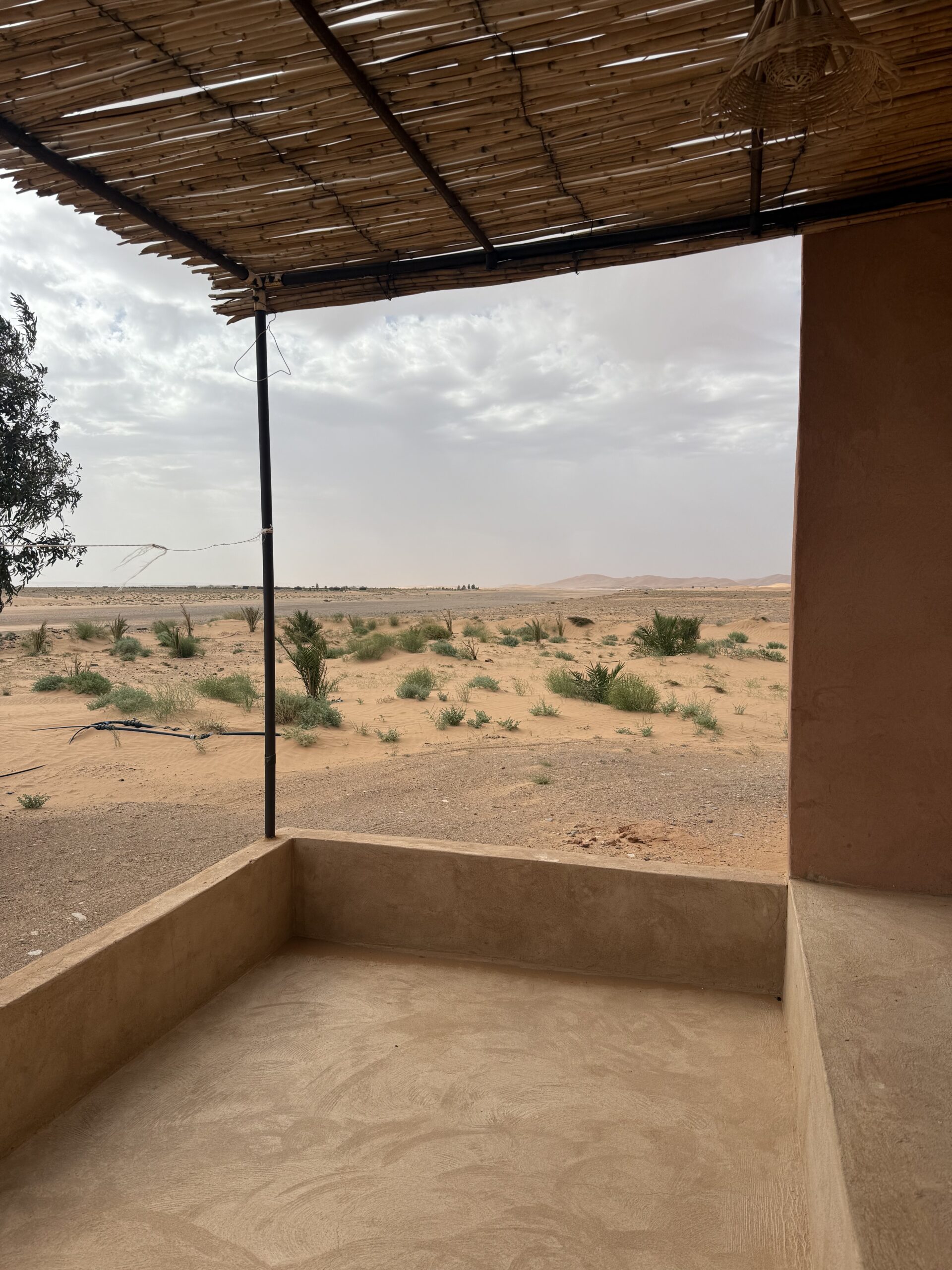 Self-imposed, accidental exile. Again.